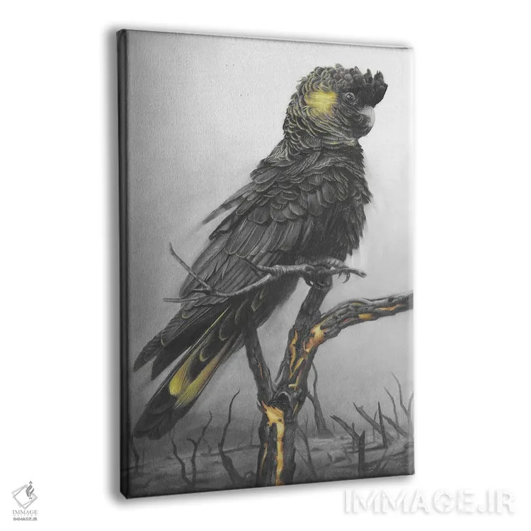 تابلو دکوراتیو کاکاتو سیاه اثر فیونا فرانسوا - نمای پرسپکتیو محصول