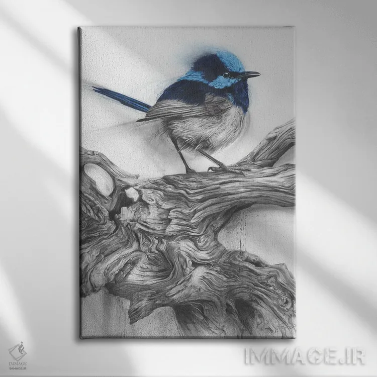 تابلو دکوراتیو فنچ پری اثر فیونا فرانسوا - نمای روبهرو روی دیوار