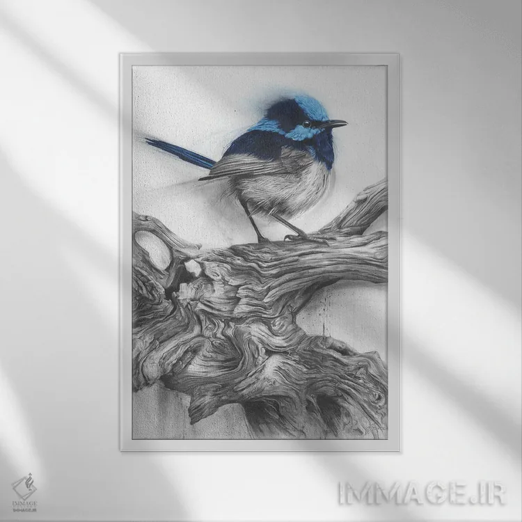 تابلو دکوراتیو فنچ پری اثر فیونا فرانسوا - نمای قابدار سفید