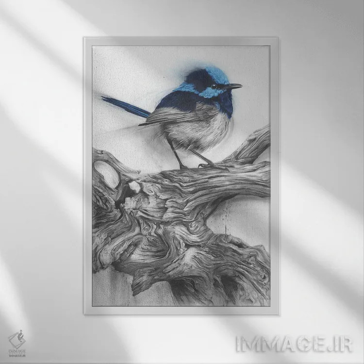 تابلو دکوراتیو فنچ پری اثر فیونا فرانسوا - نمای قابدار سفید