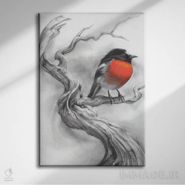 تابلو دکوراتیو سینه سرخ درخشان اثر فیونا فرانسوا - نمای روبهرو روی دیوار