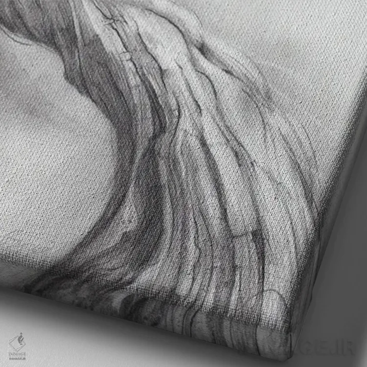 تابلو دکوراتیو سینه سرخ درخشان اثر فیونا فرانسوا - نمای نزدیک بافت بوم