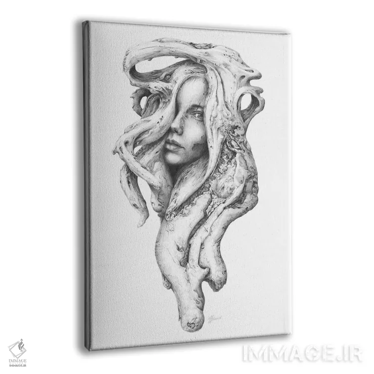 تابلو دکوراتیو روح های چوب شناور I اثر فیونا فرانسوا - نمای پرسپکتیو محصول