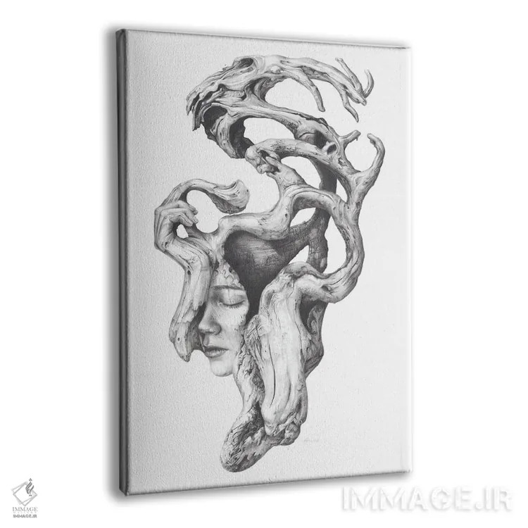 تابلو دکوراتیو روح های چوب شناور II اثر فیونا فرانسوا - نمای پرسپکتیو محصول