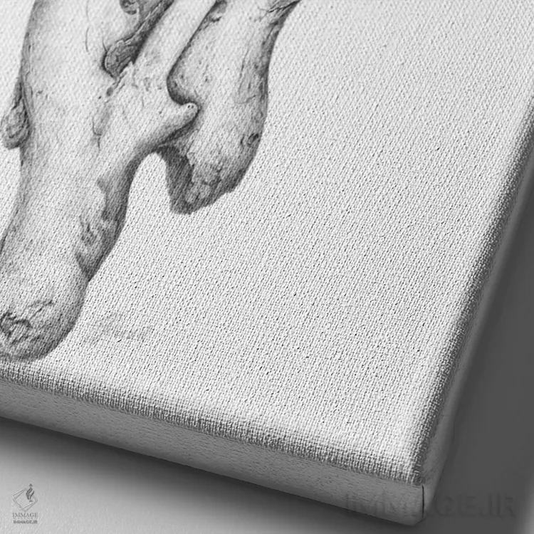 تابلو دکوراتیو روح های چوب شناور I اثر فیونا فرانسوا - نمای نزدیک بافت بوم