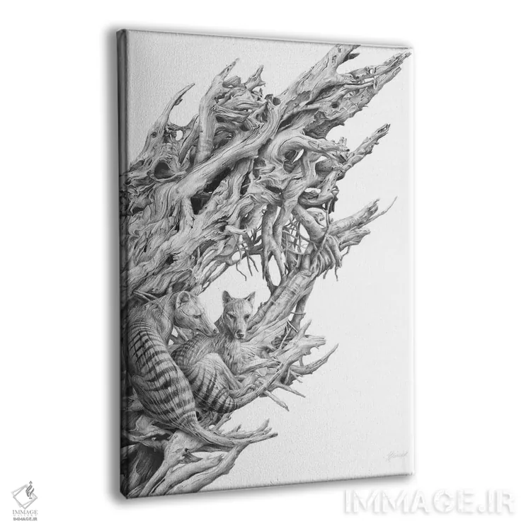 تابلو دکوراتیو تیلاسین چوب شناور اثر فیونا فرانسوا - نمای پرسپکتیو محصول