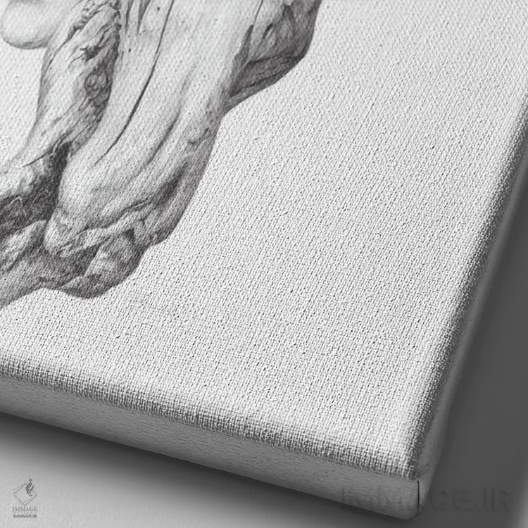 تابلو دکوراتیو روح های چوب شناور II اثر فیونا فرانسوا - نمای نزدیک بافت بوم