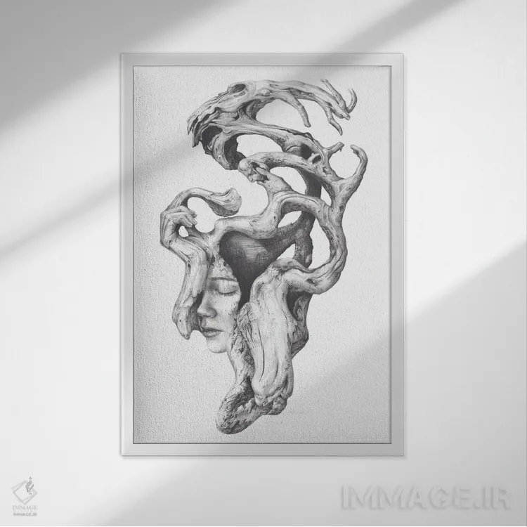 تابلو دکوراتیو روح های چوب شناور II اثر فیونا فرانسوا - نمای قابدار سفید