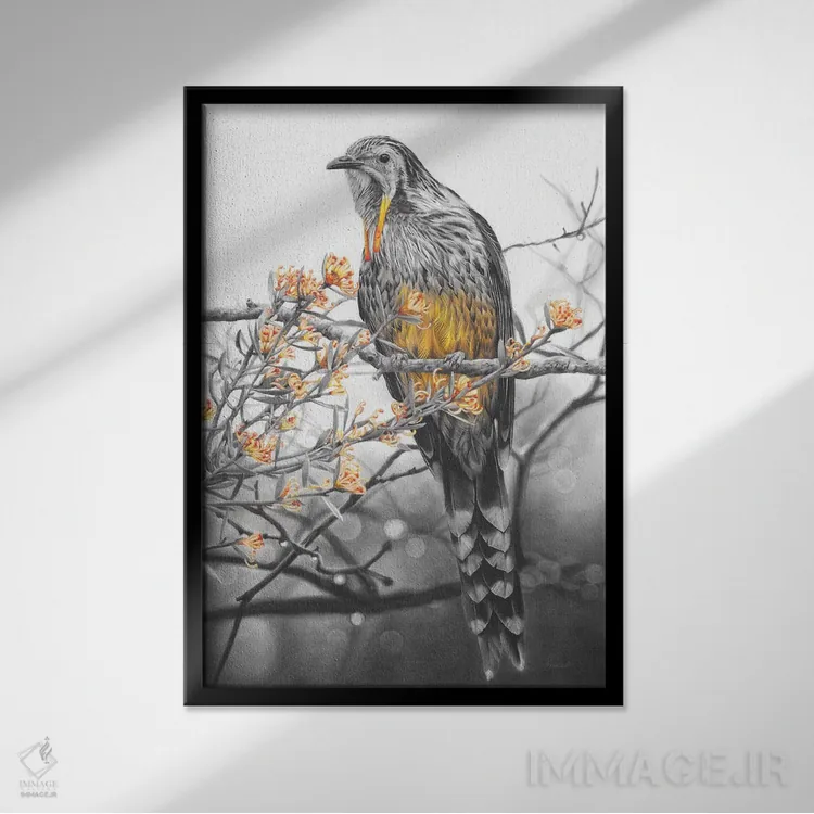 تابلو دکوراتیو پرنده زرآویز زرد اثر فیونا فرانسوا - نمای قابدار مشکی