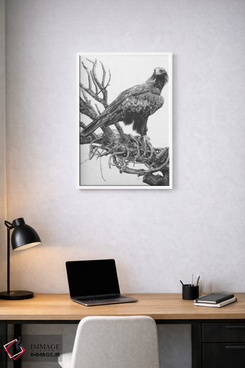 تابلو دکوراتیو عقاب دم گوه ای اثر فیونا فرانسوا - D1W