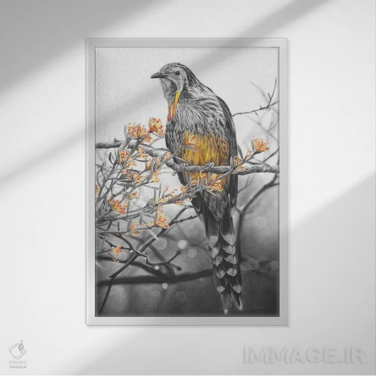 تابلو دکوراتیو پرنده زرآویز زرد اثر فیونا فرانسوا - نمای قابدار سفید