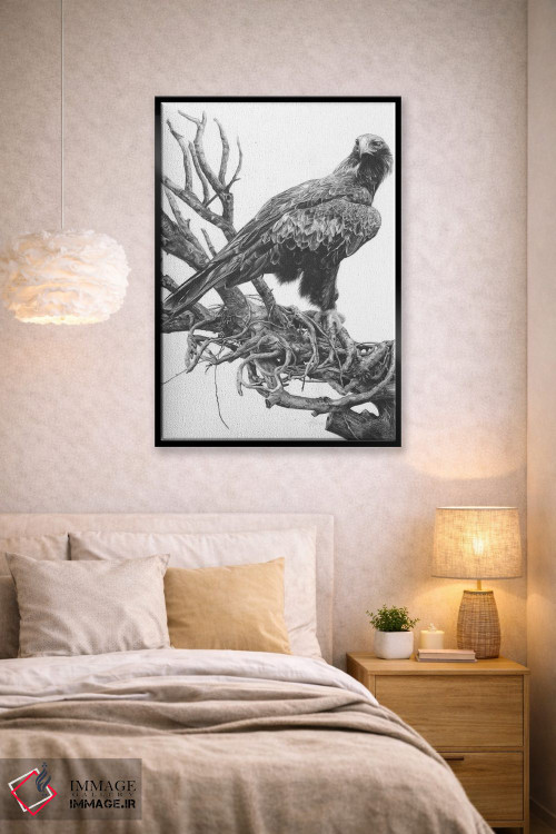تابلو دکوراتیو عقاب دم گوه ای اثر فیونا فرانسوا - D2B