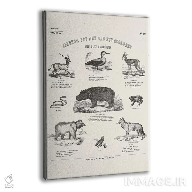 تابلو دکوراتیو جدول حیوانات اثر فلوران بدار - نمای پرسپکتیو محصول