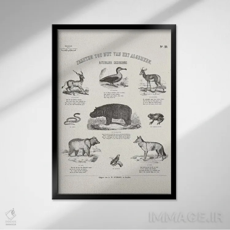 تابلو دکوراتیو جدول حیوانات اثر فلوران بدار - نمای قابدار مشکی