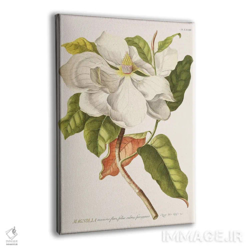 تابلو مدرن ماگنولیا اثر فلوران بدار - نمای پرسپکتیو محصول