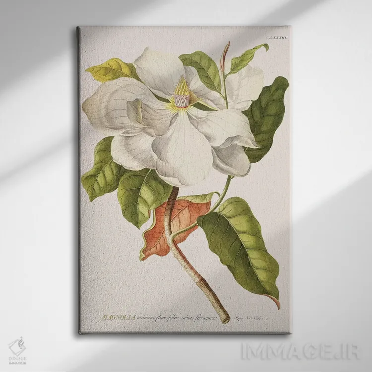 تابلو مدرن ماگنولیا اثر فلوران بدار - نمای روبهرو روی دیوار