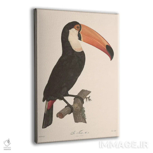 تابلو دکوراتیو ل توکو اثر فلوران بدار - نمای پرسپکتیو محصول