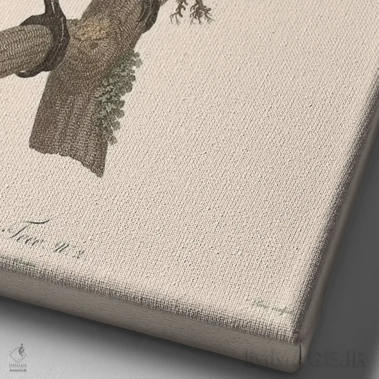 تابلو دکوراتیو ل توکو اثر فلوران بدار - نمای نزدیک بافت بوم