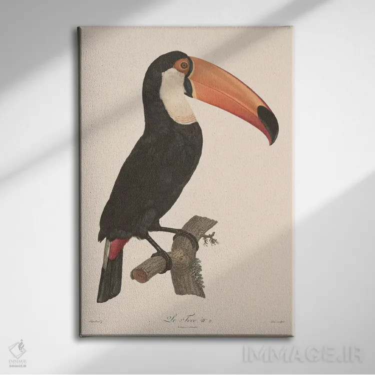 تابلو دکوراتیو ل توکو اثر فلوران بدار - نمای روبهرو روی دیوار