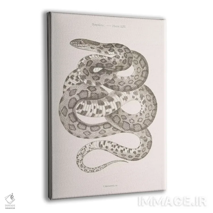 تابلو دکوراتیو خزندگان اثر فلوران بدار - نمای پرسپکتیو محصول