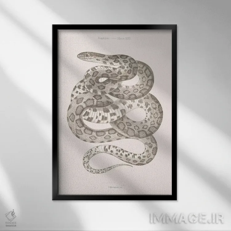 تابلو دکوراتیو خزندگان اثر فلوران بدار - نمای قابدار مشکی
