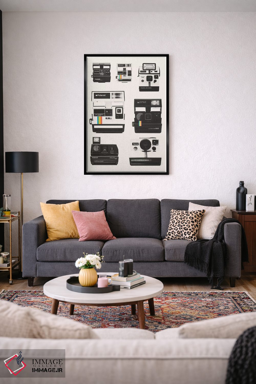 تابلو مدرن مجموعه دوربین فوری اثر فلوران بدار - D5B