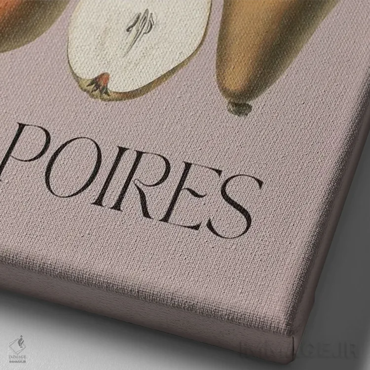 تابلو مدرن گلابی ها اثر فلاور لاو چایلد - نمای نزدیک بافت بوم