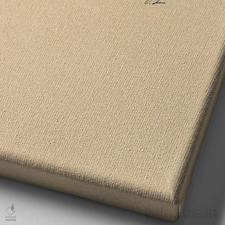 تابلو دکوراتیو لاک پشت دوچرخه سوار اثر فابیان لاواتر - نمای نزدیک بافت بوم