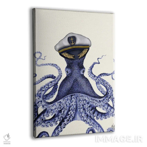 تابلو دکوراتیو کاپیتان اختاپوس اثر فب فانکی - نمای پرسپکتیو محصول