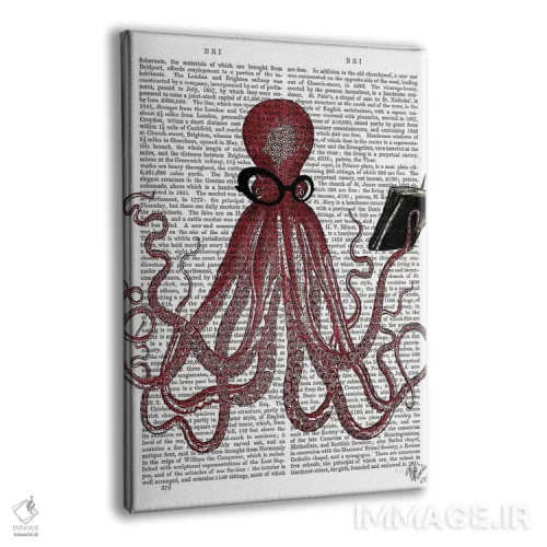 تابلو دکوراتیو اختاپوس باهوش اثر فب فانکی - نمای پرسپکتیو محصول