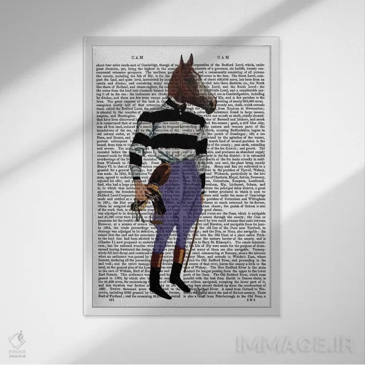 تابلو دکوراتیو سوار اسب مسابقه اثر فب فانکی - نمای قابدار سفید