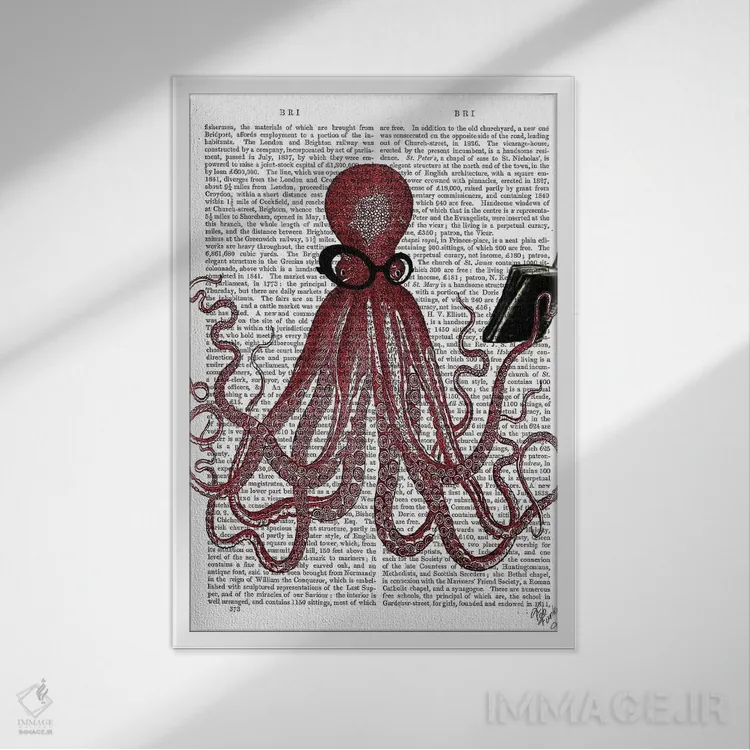 تابلو دکوراتیو اختاپوس باهوش اثر فب فانکی - نمای قابدار سفید