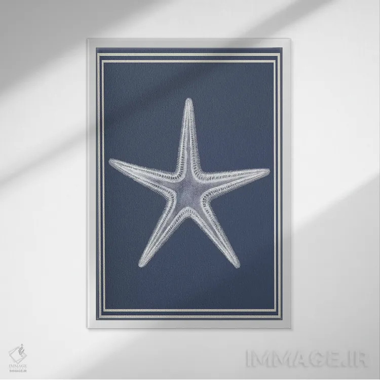تابلو دکوراتیو ترکیب دریایی سفید بر آبی نیلی ۱ اثر فب فانکی - نمای قابدار سفید