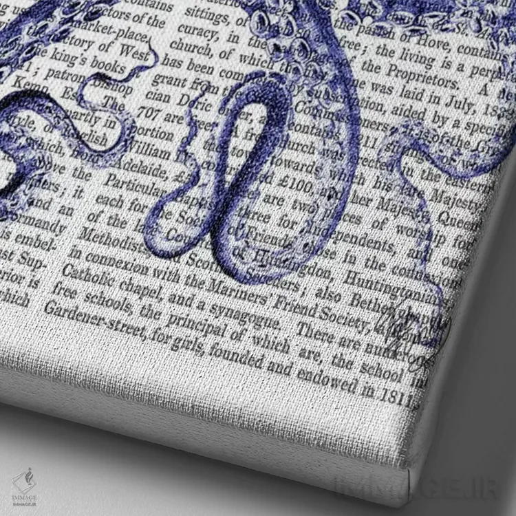 تابلو دکوراتیو اختاپوس در شهر اثر فب فانکی - نمای نزدیک بافت بوم