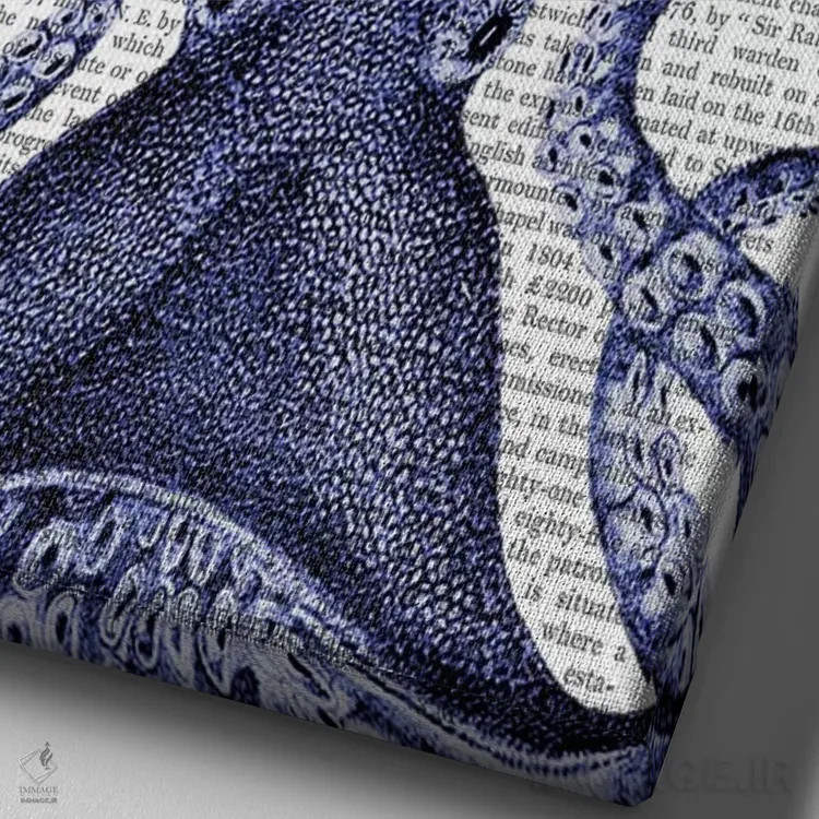 تابلو دکوراتیو اختاپوس با کلاه دریایی اثر فب فانکی - نمای نزدیک بافت بوم