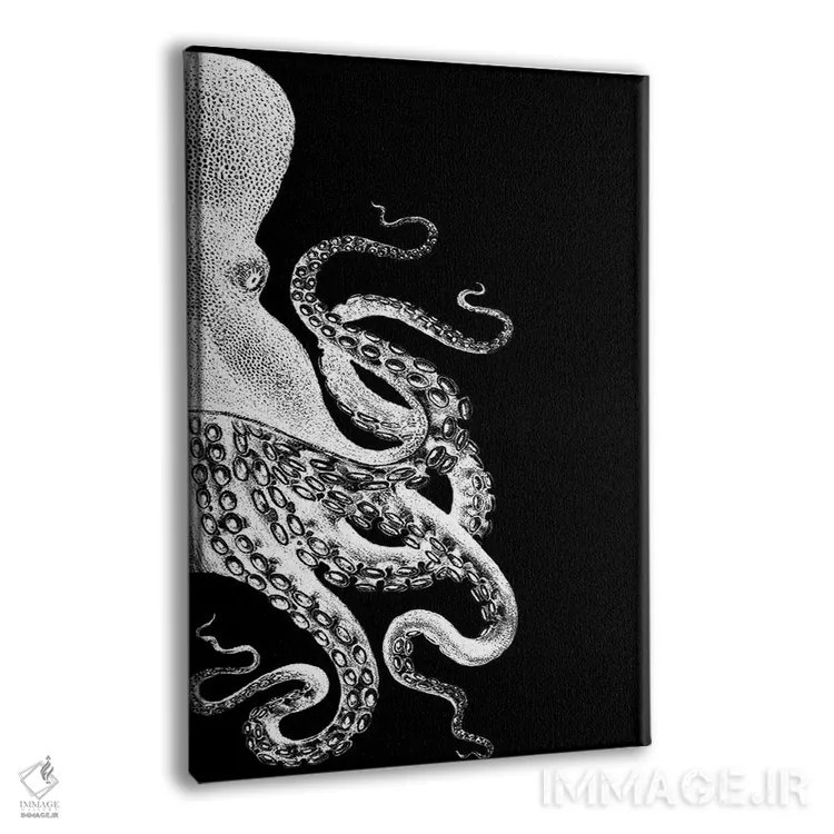تابلو دکوراتیو اختاپوس، سیاه و سفید ۲ اثر فب فانکی - نمای پرسپکتیو محصول