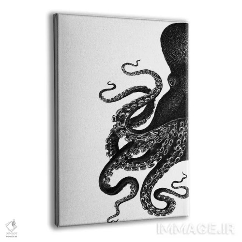 تابلو مدرن اختاپوس، سیاه و سفید ۱ اثر فب فانکی - نمای پرسپکتیو محصول