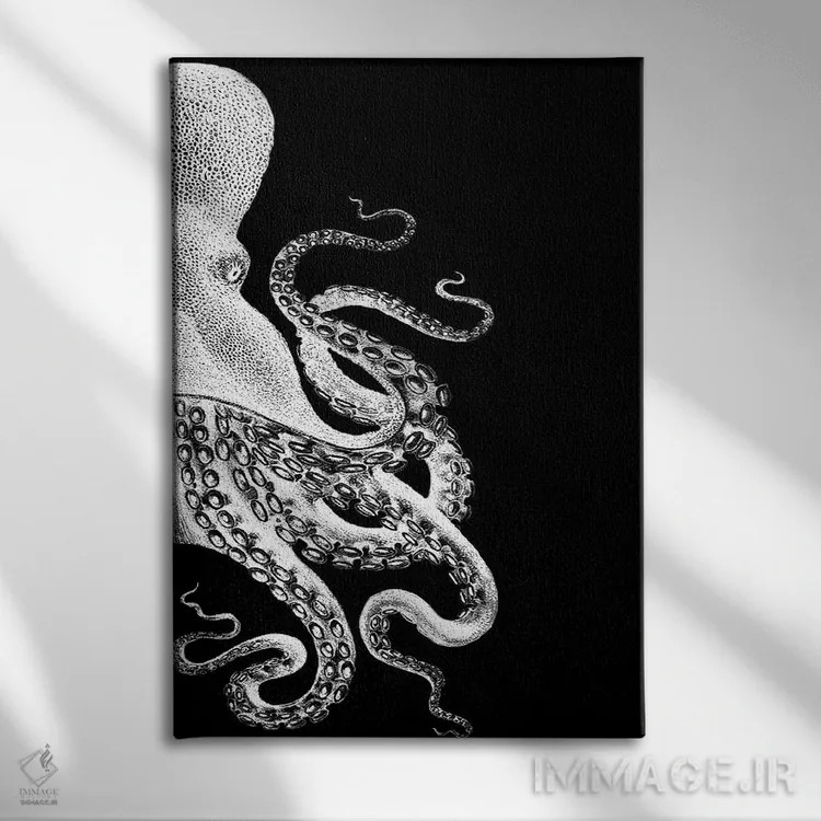 تابلو دکوراتیو اختاپوس، سیاه و سفید ۲ اثر فب فانکی - نمای روبهرو روی دیوار