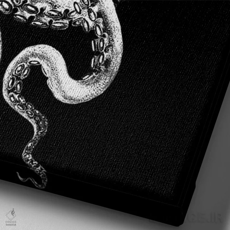 تابلو دکوراتیو اختاپوس، سیاه و سفید ۲ اثر فب فانکی - نمای نزدیک بافت بوم