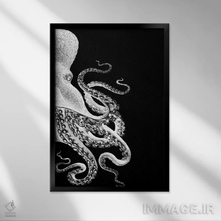 تابلو دکوراتیو اختاپوس، سیاه و سفید ۲ اثر فب فانکی - نمای قابدار مشکی