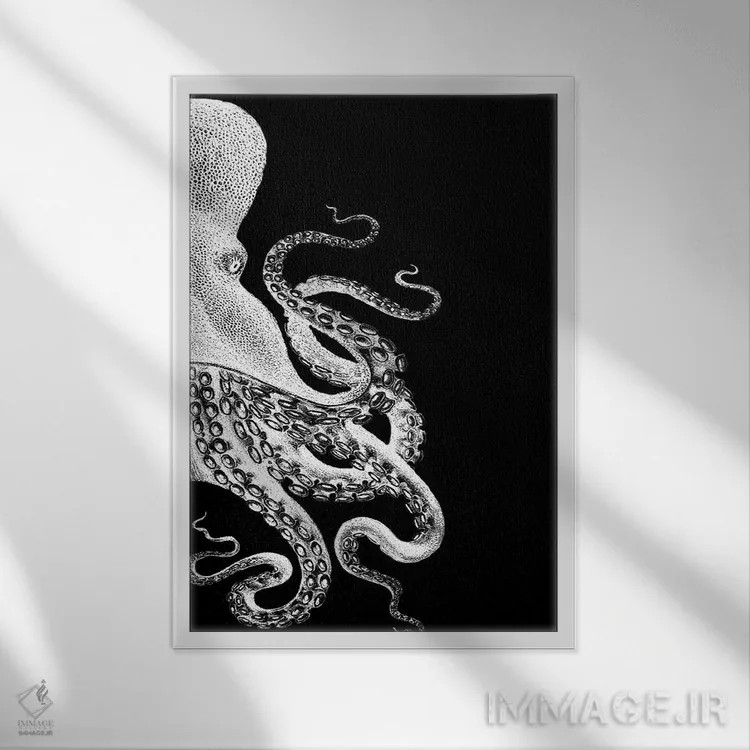 تابلو دکوراتیو اختاپوس، سیاه و سفید ۲ اثر فب فانکی - نمای قابدار سفید