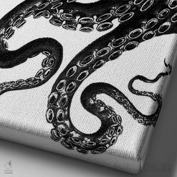 تابلو مدرن اختاپوس، سیاه و سفید ۱ اثر فب فانکی - نمای نزدیک بافت بوم
