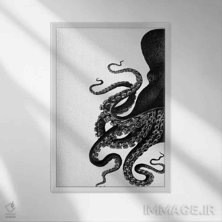 تابلو مدرن اختاپوس، سیاه و سفید ۱ اثر فب فانکی - نمای قابدار سفید