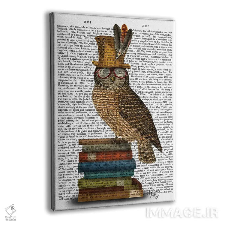 تابلو دکوراتیو جغد روی کتاب ها اثر فب فانکی - نمای پرسپکتیو محصول