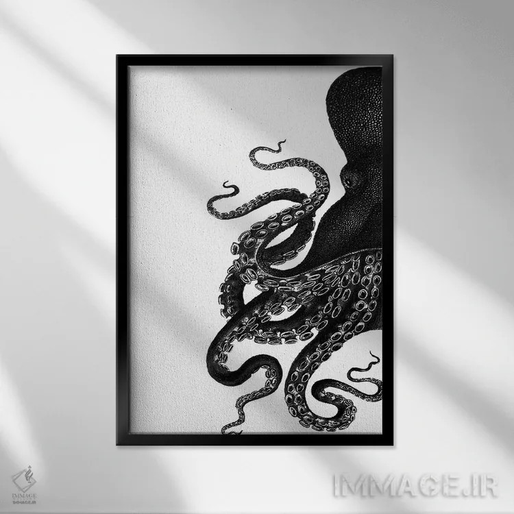 تابلو مدرن اختاپوس، سیاه و سفید ۱ اثر فب فانکی - نمای قابدار مشکی