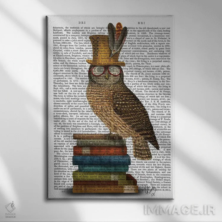 تابلو دکوراتیو جغد روی کتاب ها اثر فب فانکی - نمای روبهرو روی دیوار