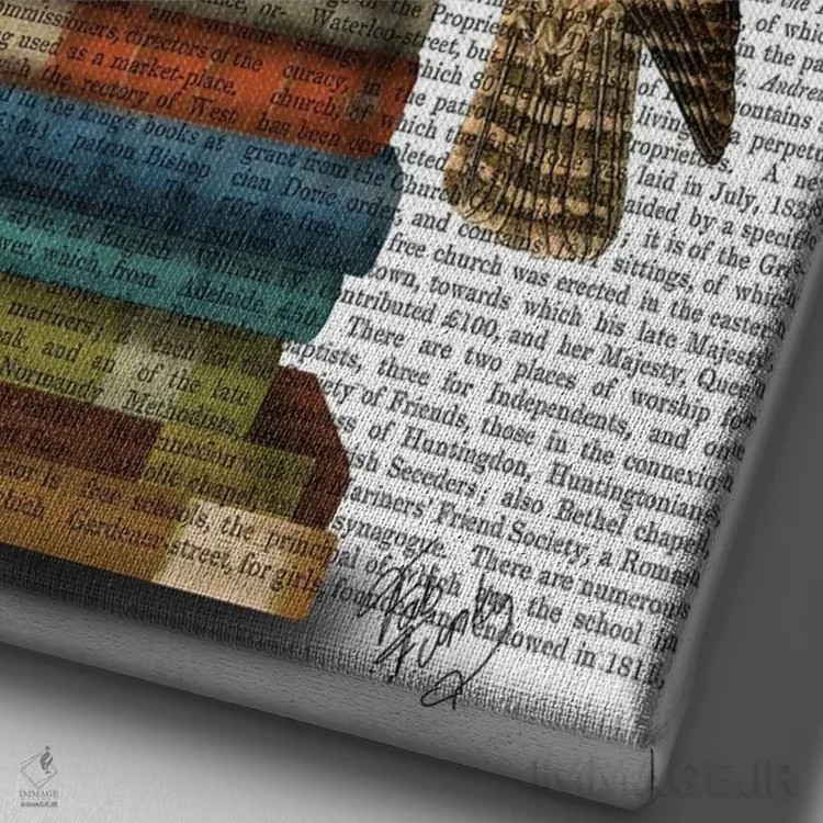 تابلو دکوراتیو جغد روی کتاب ها اثر فب فانکی - نمای نزدیک بافت بوم