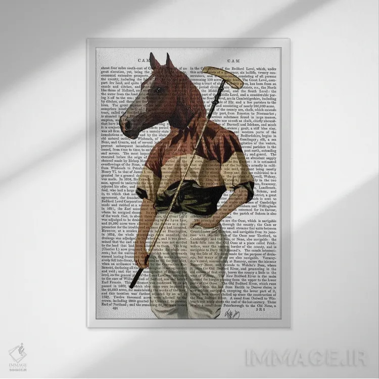 تابلو دکوراتیو اسب چوگان اثر فب فانکی - نمای قابدار سفید