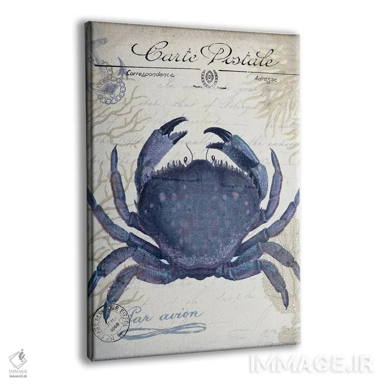 تابلو دکوراتیو کارت پستال ساحلی روی کرم: خرچنگ اثر فب فانکی - نمای پرسپکتیو محصول