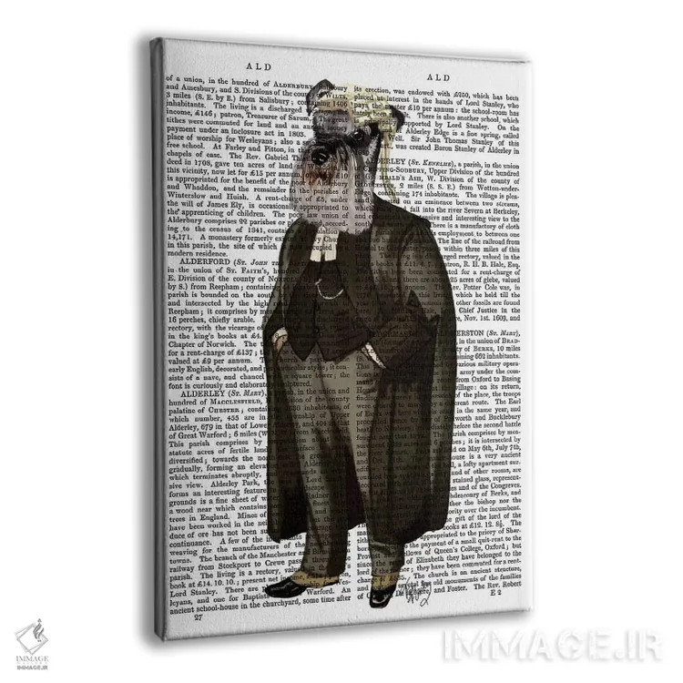 تابلو دکوراتیو شنوزر وکیل اثر فب فانکی - نمای پرسپکتیو محصول